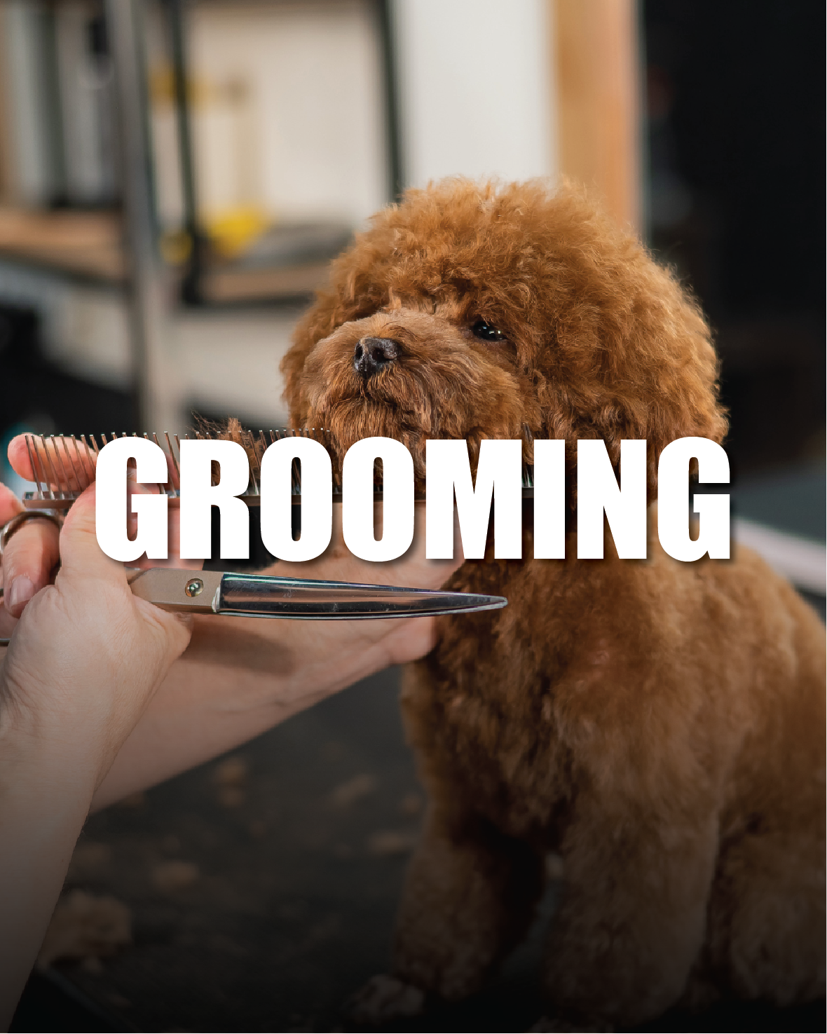 GROOMING