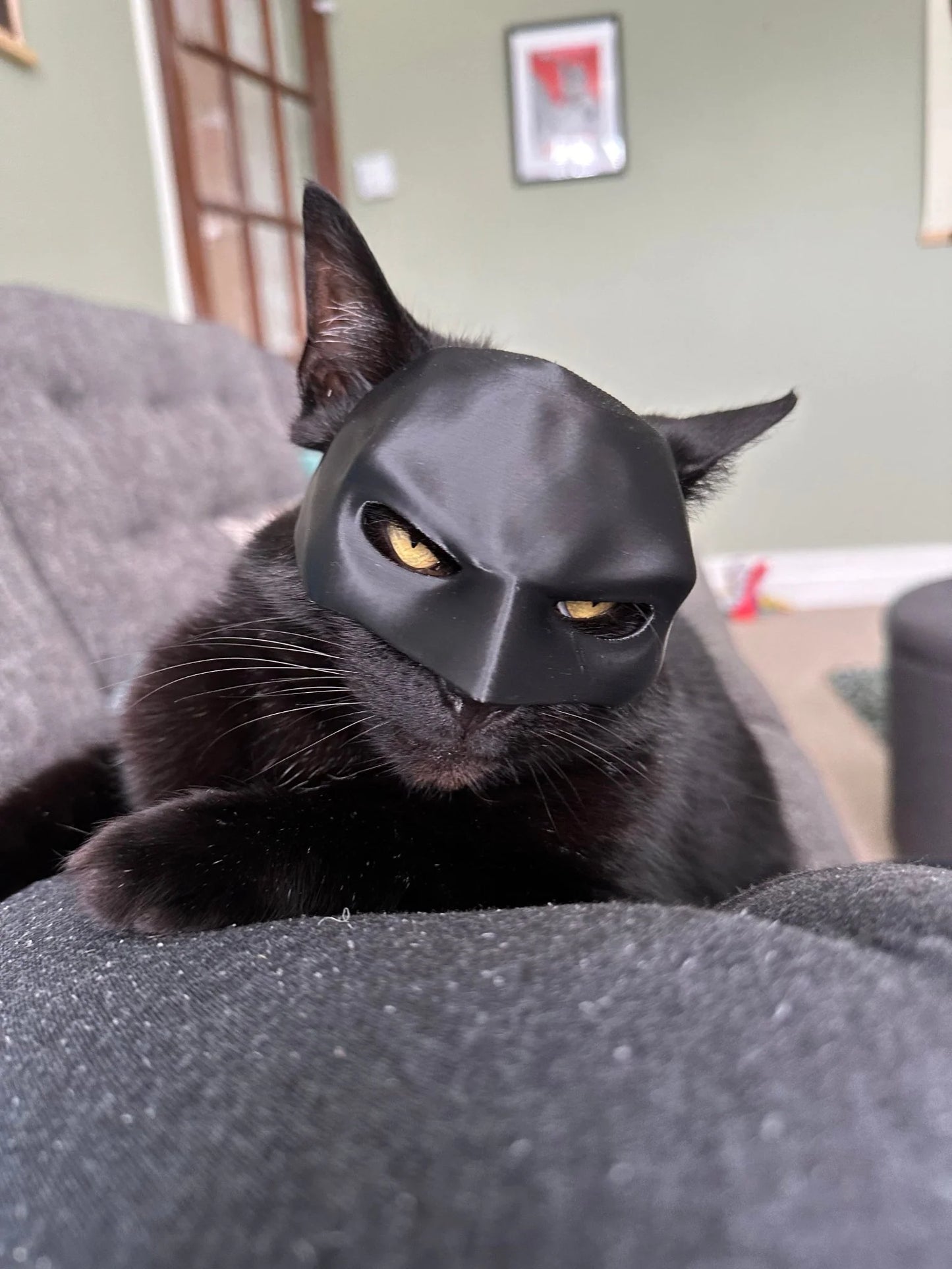 Bat Cat Avenger Mask